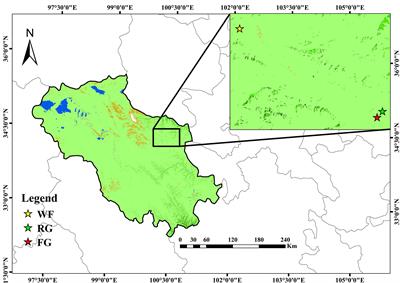 Different grassland managements significantly change carbon fluxes in an alpine meadow